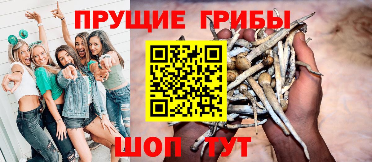 Псилоцибиновые грибы ЛСД Сорочинск