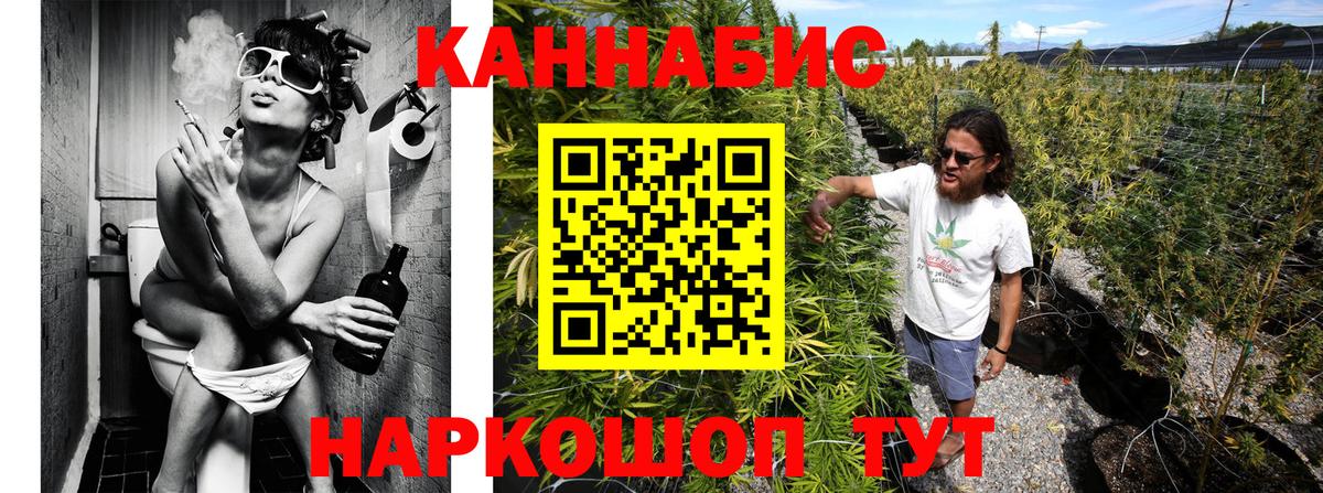Каннабис гибрид Сорочинск